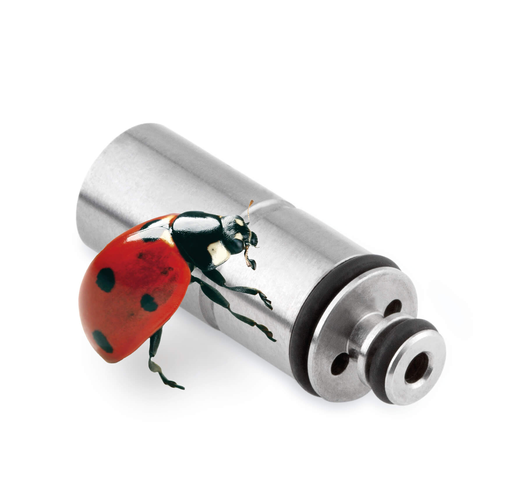 Ladybug microvalve
